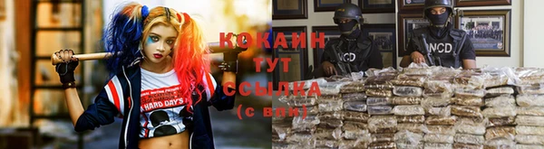 крисы Аркадак