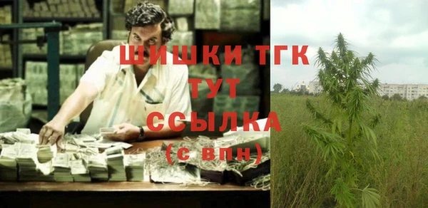 крисы Аркадак
